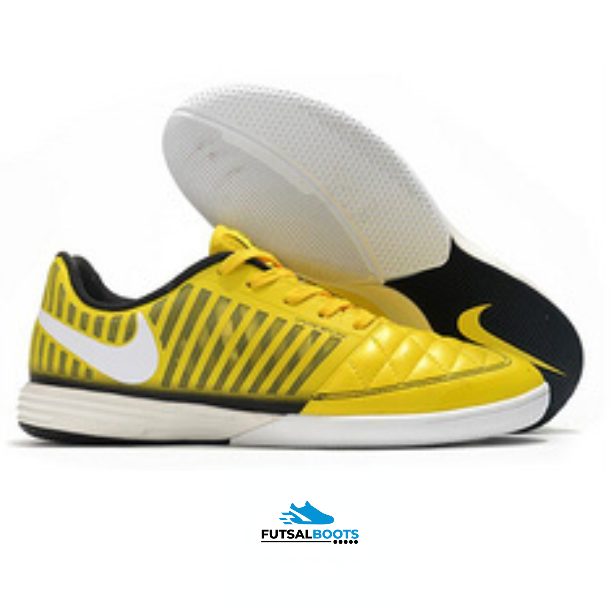 Lunar Gato - Solar Gold / Black Edge